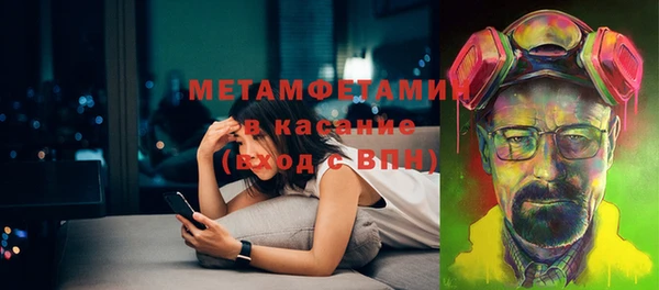 индика Ладушкин