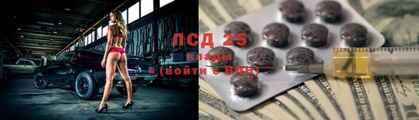 индика Ладушкин