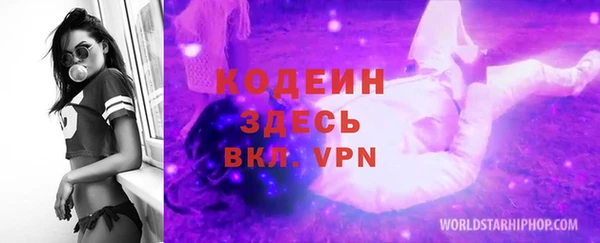 дмт Лагань