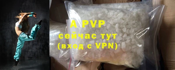индика Ладушкин