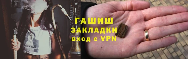индика Ладушкин