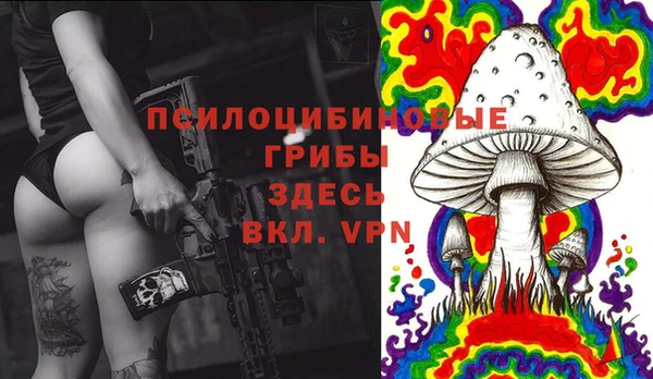 дмт Лагань