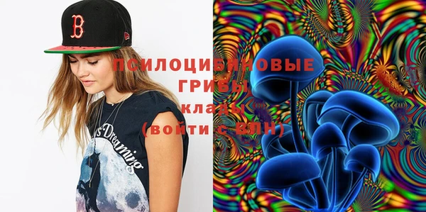 стаф Аша