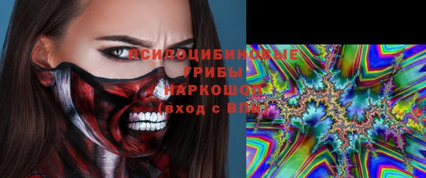 индика Ладушкин