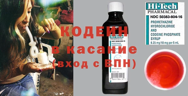 индика Ладушкин