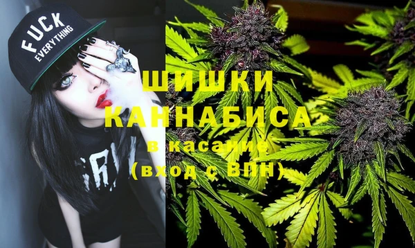 индика Ладушкин