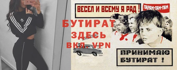 индика Ладушкин