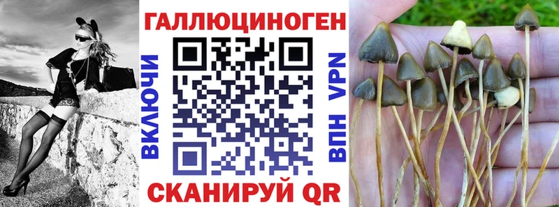 Галлюциногенные грибы Psilocybe  KRAKEN вход  Муравленко 