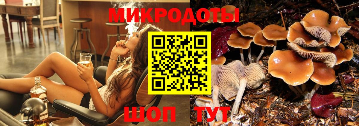 Псилоцибиновые грибы Cubensis  Вход с VPN  Муравленко  Псилоцибиновые грибы MAGIC MUSHROOMS 